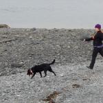 Dog walker